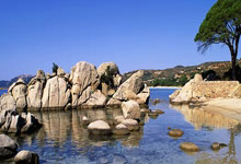 哪里能看乒乓球在线直播？这些渠道和技巧帮你不错过精彩赛事